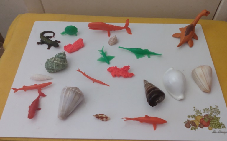 SHELLS AND FISH
