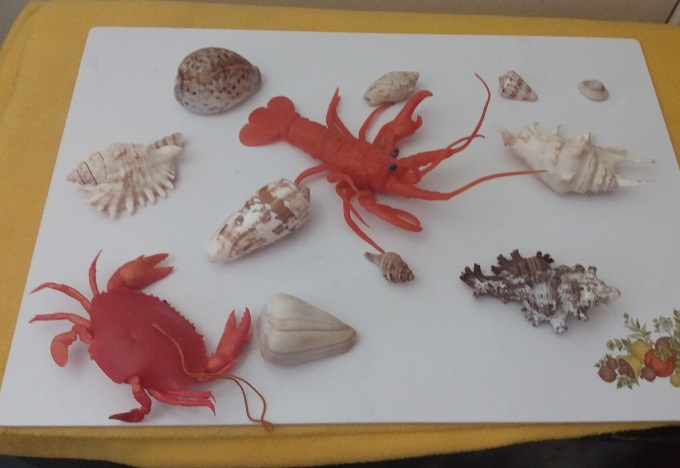 SHELLS, LOBSTERS AND CRABS