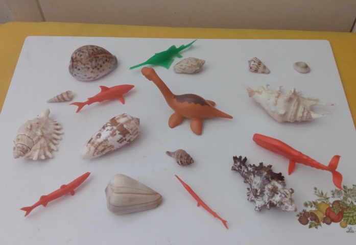 SHELLS AND FISH