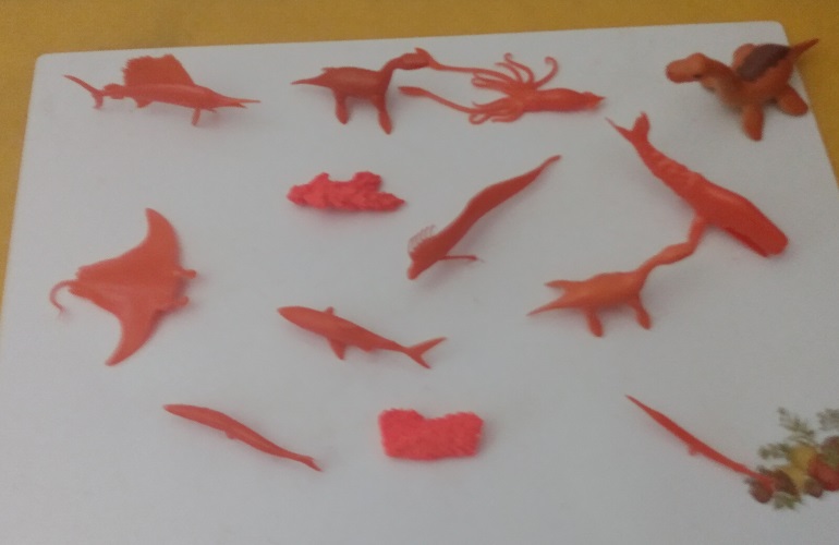 CORAL AND BUDDY AND ORANGE FISH